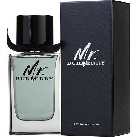 mr burberry eau de toilette 150ml|mr Burberry indigo fragrantica.